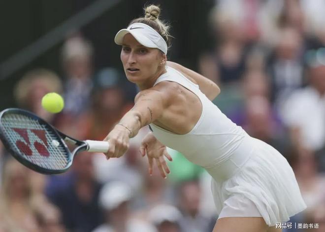 引起观者的 引起观者的