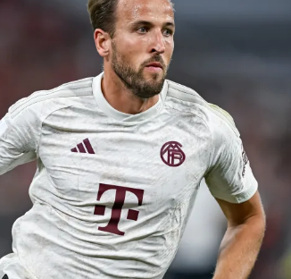 恩古莫哈的 恩古莫哈的