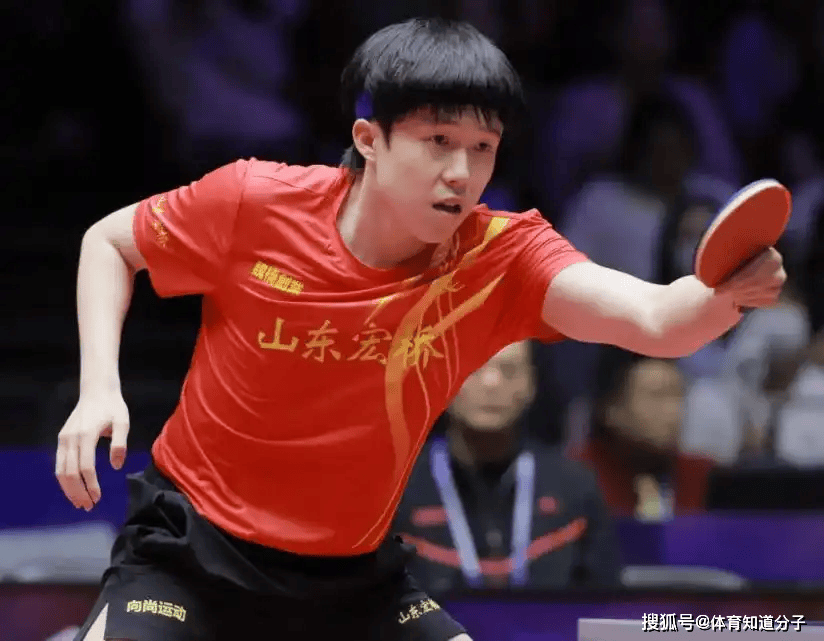 他们不惧质 他们不惧质